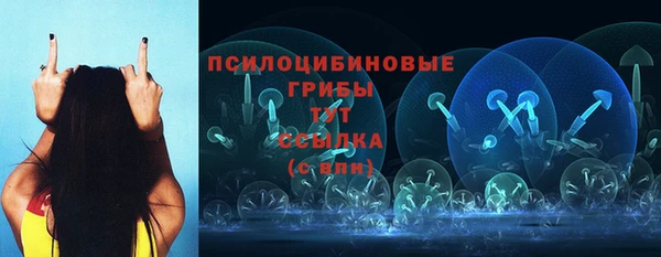 шишки Аркадак