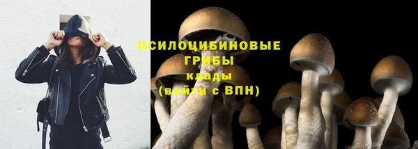 стафф Арсеньев