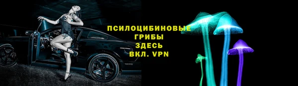 стафф Арсеньев