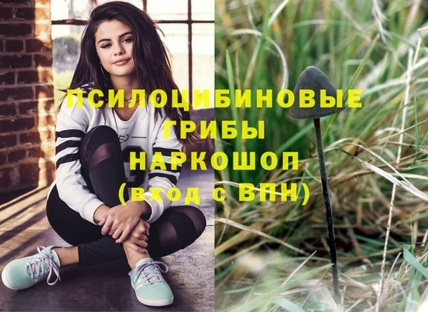 шишки Аркадак