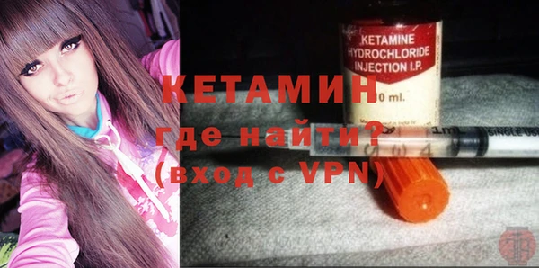 шишки Аркадак