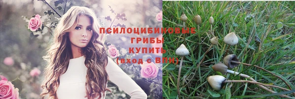 шишки Аркадак