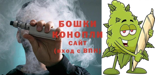 шишки Аркадак