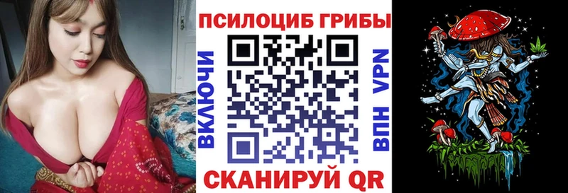закладка  Гудермес  Галлюциногенные грибы Magic Shrooms 