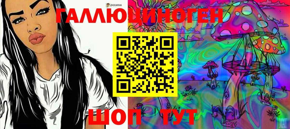 Галлюциногенные грибы Cubensis Гудермес