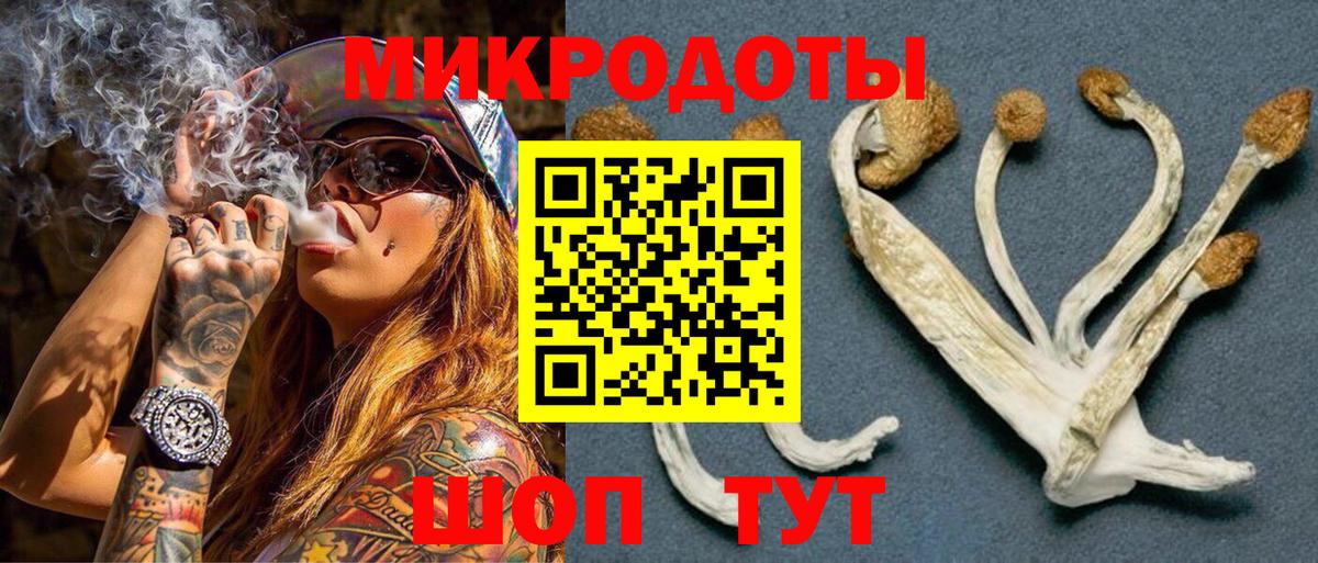 Галлюциногенные грибы мухоморы Гудермес