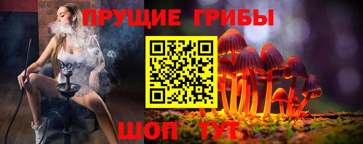 Гудермес  Псилоцибиновые грибы Magic Shrooms  Вход с VPN 