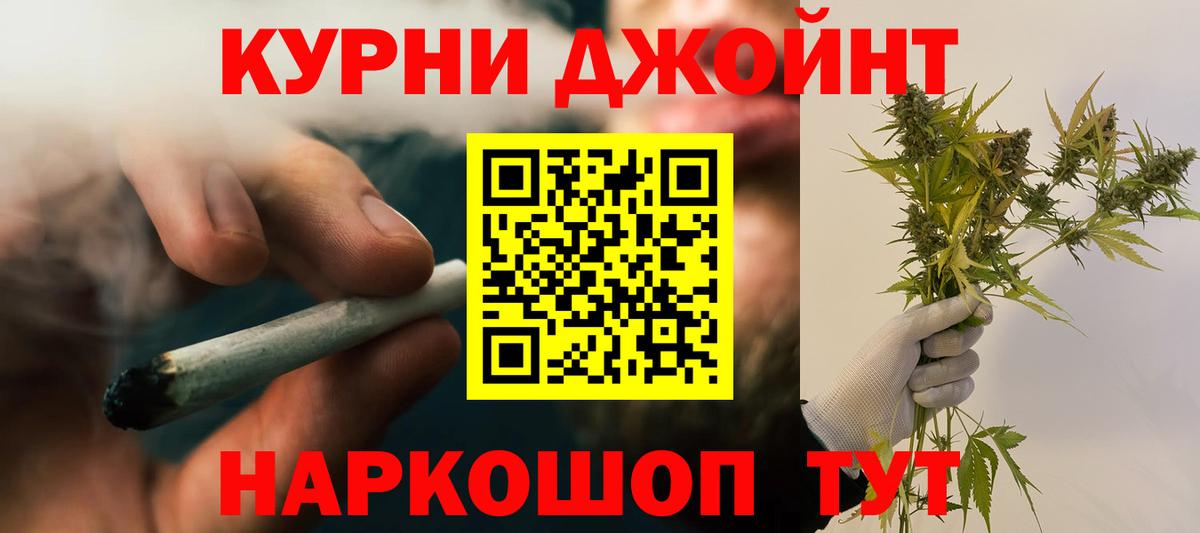 Каннабис OG Kush Гудермес