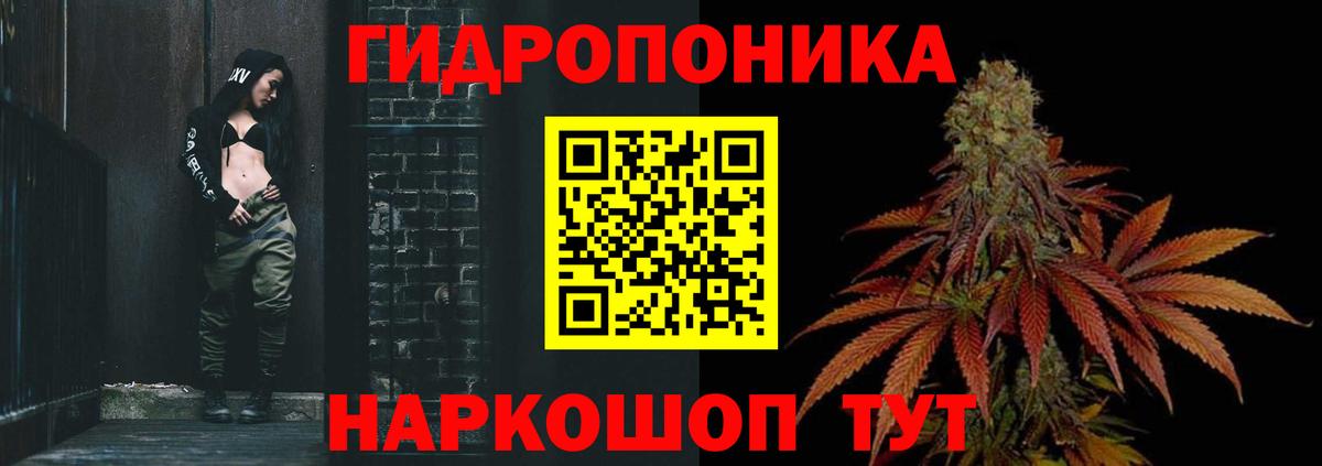 Конопля тримм  Конопля OG Kush  Канабис VHQ  Гудермес 